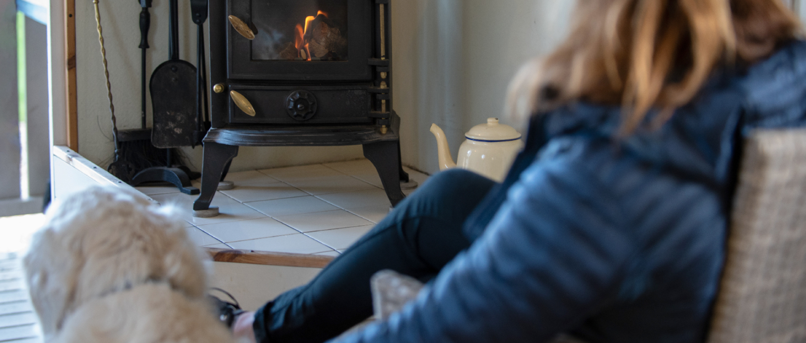 Dog and person sit in front of a lit fire at Back of Beyond